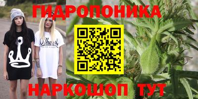 индика Конаково