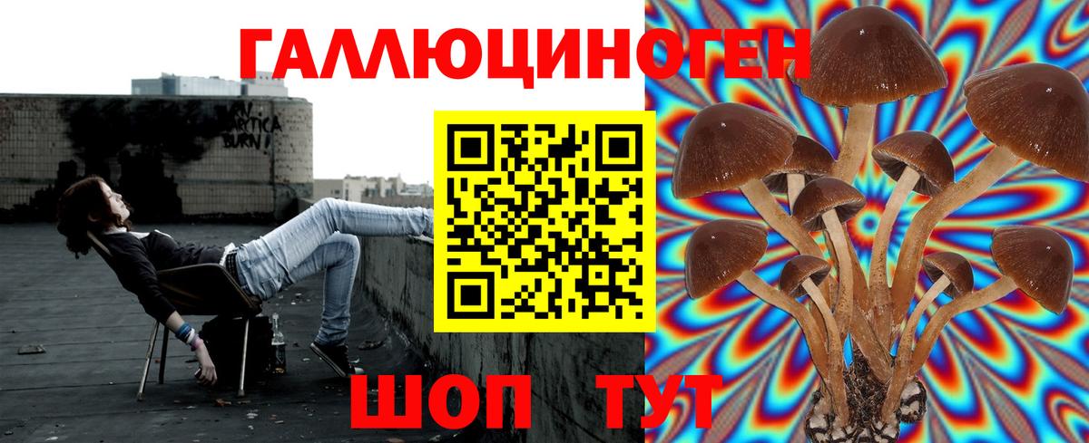 Псилоцибиновые грибы Cubensis Краснотурьинск